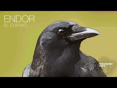 Endor - El Cuervo