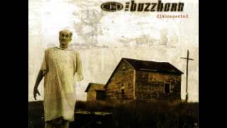 The Buzzhorn - Ordinary (2002)