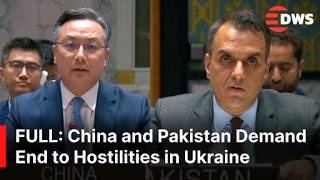 China & Pakistan Ambassadors Call for Ceasefire, Dialogue at UN Security Council on Ukraine | AC1E