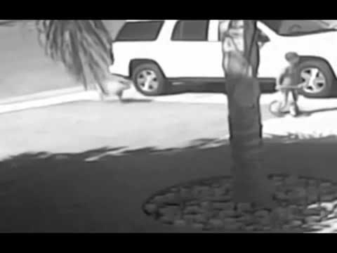 MOS / TIK - SHUNN U KATUN / OFFICIAL MUSIC VIDEO / 2016