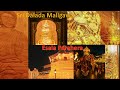 Sri Dalada Maligawa Kandy Esala Perahera ශ්‍රී දළදා මාලිගාව කන�