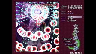 Xanadu of Straight and Curve graze