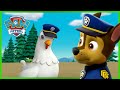Chase And Chickaletta Change Bodies And More PAW Patrol Cartoons For Kids Compilation
