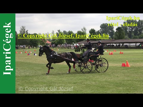 Fogathajtás, CAN-B, H1, Vecsés 2022., Akadályhajtás, 4K, sv4K220605-C07-08-230826