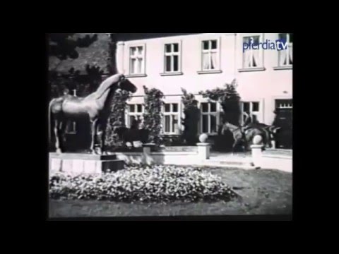 Eine Reise nach Trakehnen mit Hans Joachim Köhler