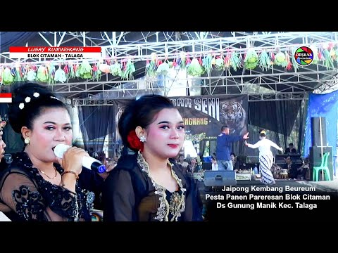 Jaipong Kembang Beureum Lugay Rumingkang Pesta Panen Pareresan Blok Citaman Ds Gunung Manik