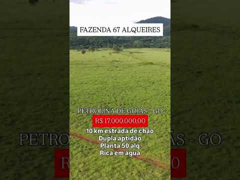 Fazenda em Petrolina Goiás, whatsapp 62 99373-6407