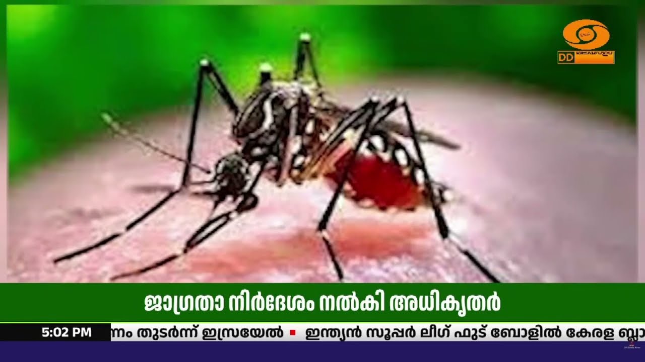 എറണാകുളത്ത് ചിക്കുൻഗുനിയ പടരുന്നു; ജാഗ്രതാ നിർദ്ദേ