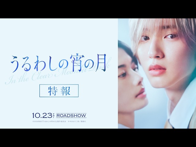 『うるわしの宵の月』特報