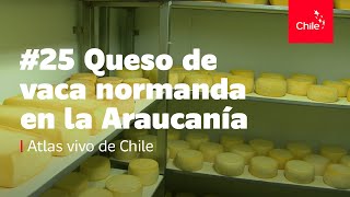 preview picture of video '#25 Queso de vaca normanda en la Araucanía - Atlas Vivo de Chile'