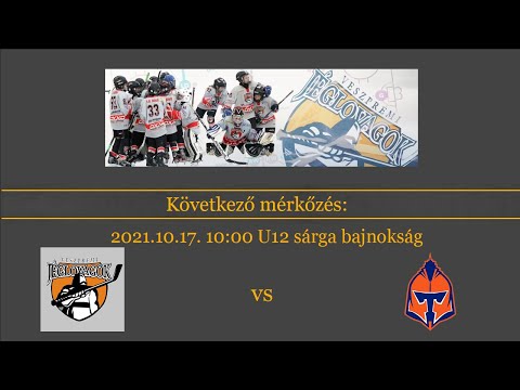 U12 Sárga bajnokság Veszprémi Jéglovagok - Egerszegi Titánok