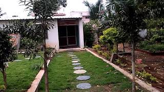 preview picture of video 'Plantree Nursery Raichur Karnataka'