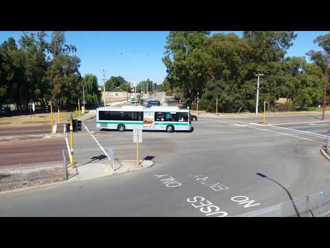 Transperth TP1384, TP2474 & TP1492 Arrives @ Cannington Station