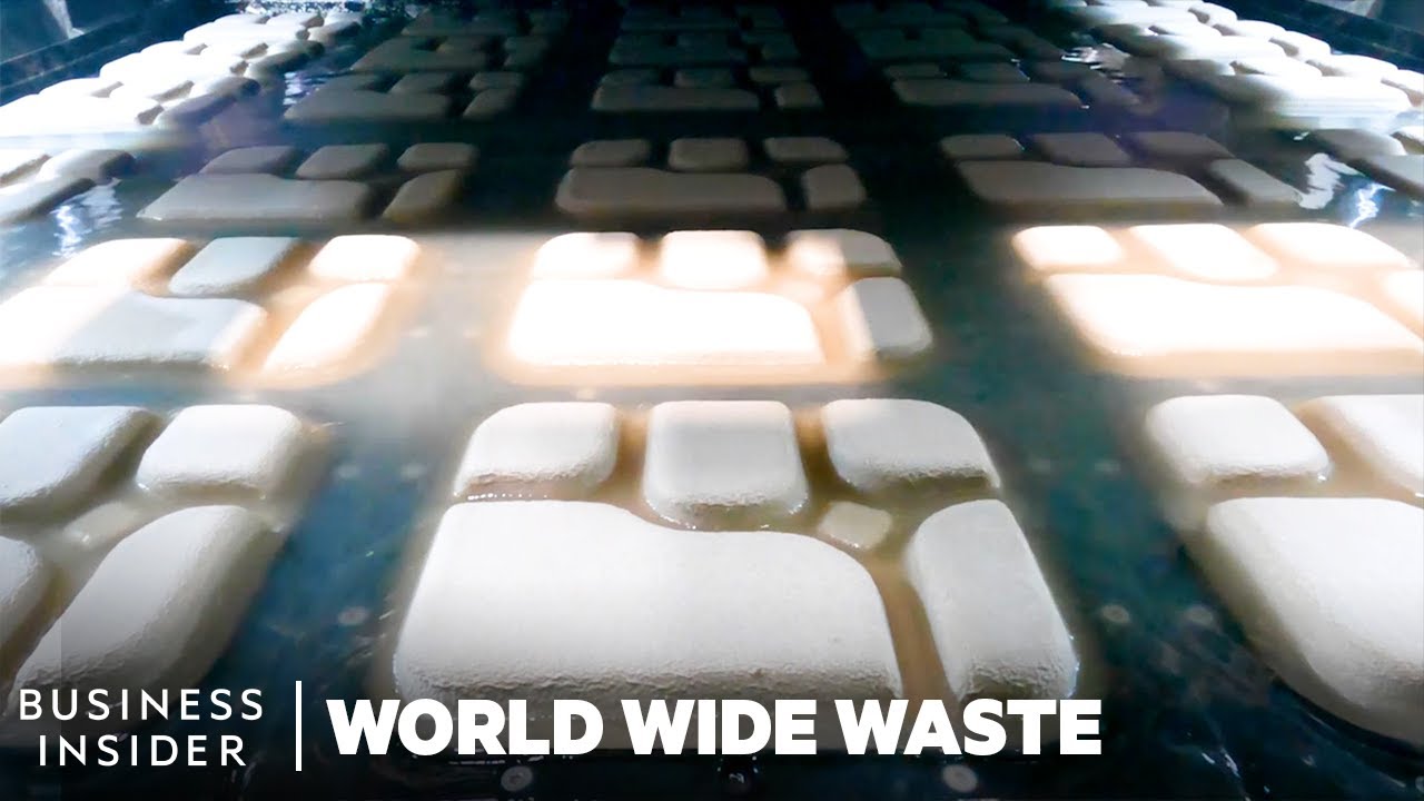 How To Replace Plastic With Avocados, Algae, Mushrooms And Sugarcane | World Wide Waste Marathon