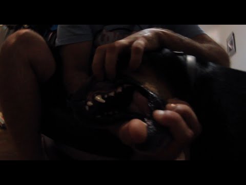 ISMAPÉREZ x IFEELOFF