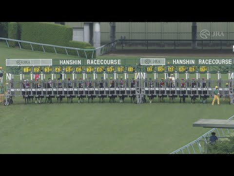 2023 TAKARAZUKA KINEN(G1) | JRA Official