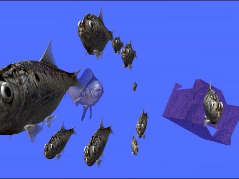 Dolphin 3D Animation circa 2001