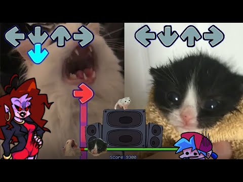 THURSTON Waffles VS TOWEL Kitten (REMATCH) (Friday Night Funkin - M.I.L.F) Week 4