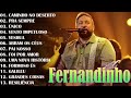 FERNANDINHO AS MELHORES FERNANDINHO 9