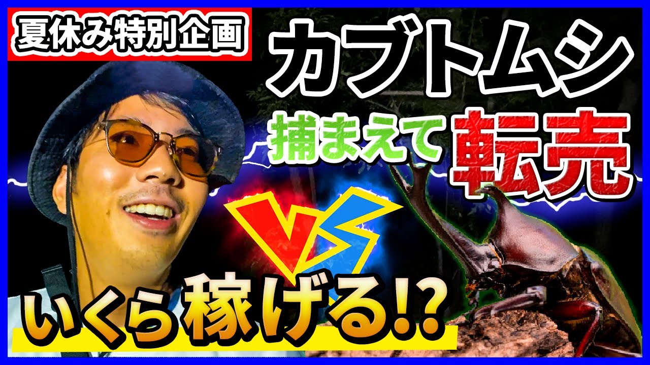 【検証】一攫千金！超高額カブトムシを捕まえて転売したらいくら稼げるのか