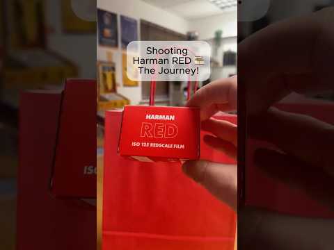 HARMAN Rolo Red 125 - 36 exp