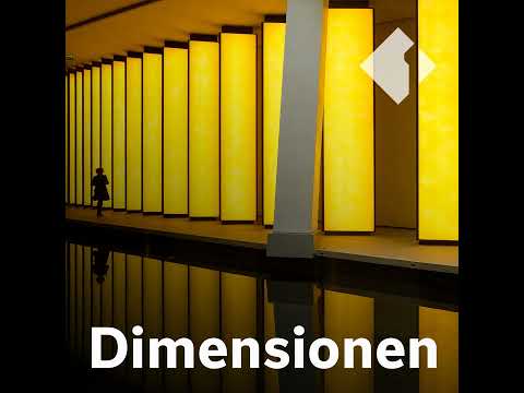 Die Nobelpreise 2025: Wirtschaft