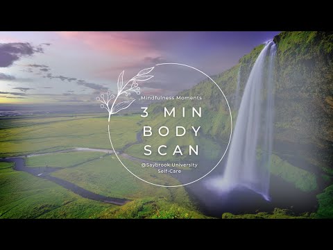 Mindfulness Moment: 3 Min. Body Scan