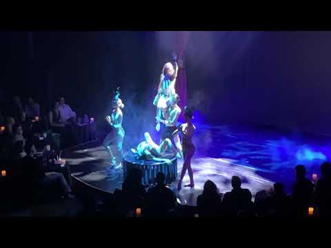 MP Letourneau “Teardrop” Contortion Act at Sensatia Cabaret