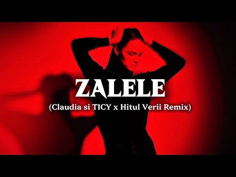 Zalele Remix - Claudia Asu & Ticy | Ahsan EDM