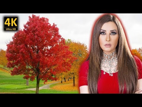 لطيفة التونسية . بحب في غرامك . مع كلمات الاغنية . من نوفلن البناء