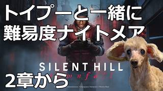 トイプーと見るサイレントヒルタウンフォール　２