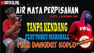 Download lagu Air Mata Perpisahan Cipt. Imam S Arifin Versi Dangdut Koplo Original TANPA KENDANG mp3
