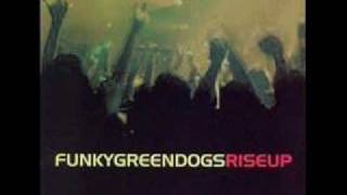 Funky Green Dogs Rise Up Junior Vasquez Earth Anthem Mix