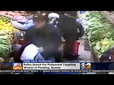 Police: Serial Pickpocket Targeting Women In Queens
