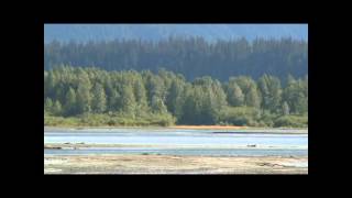 Rosita Worl on "Alaska's Landless"