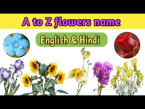 Learn A to Z flowers name  with picture in English & Hindi for kids || #atozflowersname
