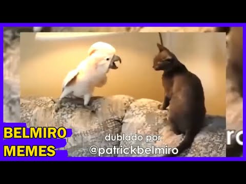 Belmiro Memes: Melhores dublagens do ano parte 5