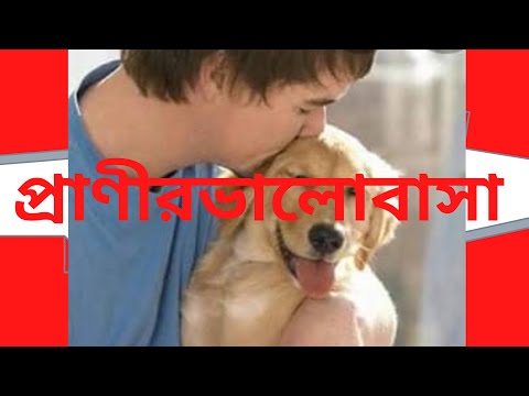 #মালিকের প্রতি প্রাণীর ভালোবাসা#