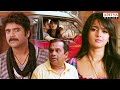 Ragada Movie Scenes Hindi Dubbed Movie Nagarjuna Anushka Priyamani Brahmanandam