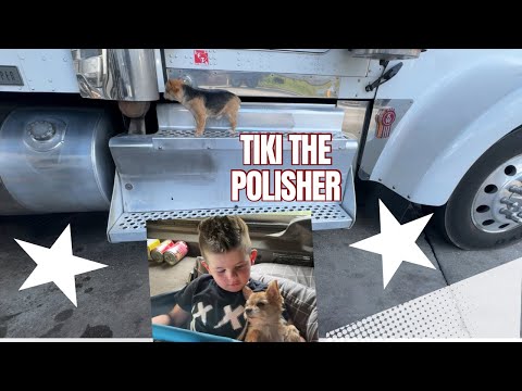 $3600 Gross in A Day Trucking !! How did we do it ?? Day in the Life American Trucker !! 3 loads