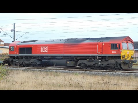 66137 at Darlington - 4E98 Mossend Euroterminal to Tees Dock 26/10/19