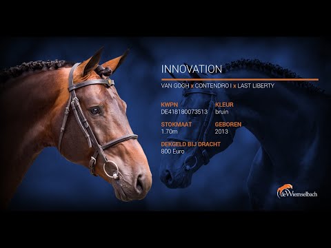 INNOVATION (Hengstenvideo NL 2020  / Training at the Wiemselbach)