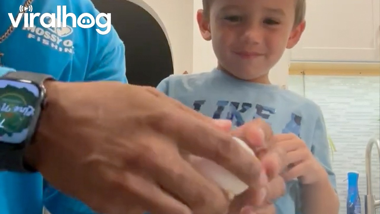 Little Boy Giggles Adorably When Dad Cracks Egg on His Head || ViralHog