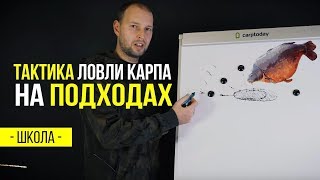 Саймон кроу стратегия карповой ловли