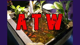 "Around The World" Update On My Fish Room (12/14/23)