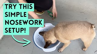 How to Set Up Simple Nosework: The Colander Game