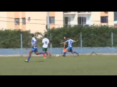 Vinicius goleiro 95