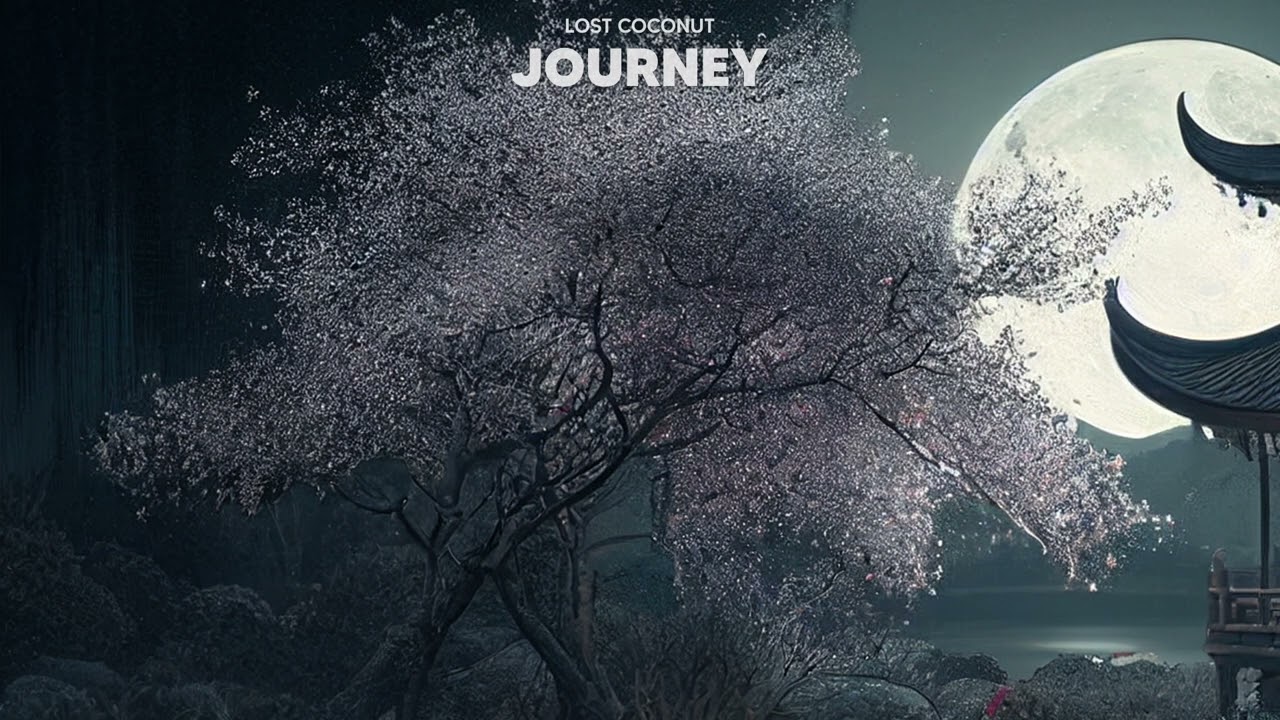 Lost Coconut - Journey (Official Audio)