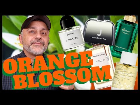 5 AWESOME ORANGE BLOSSOM + NEROLI CITRUS FRAGRANCES | The Difference Between Neroli + Orange Blossom