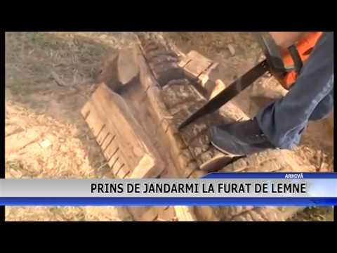 PRINS DE JANDARMI LA FURAT DE LEMNE
